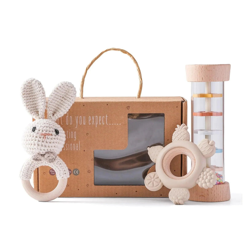 Kit Brinquedos Montessori para Bebê Cavia