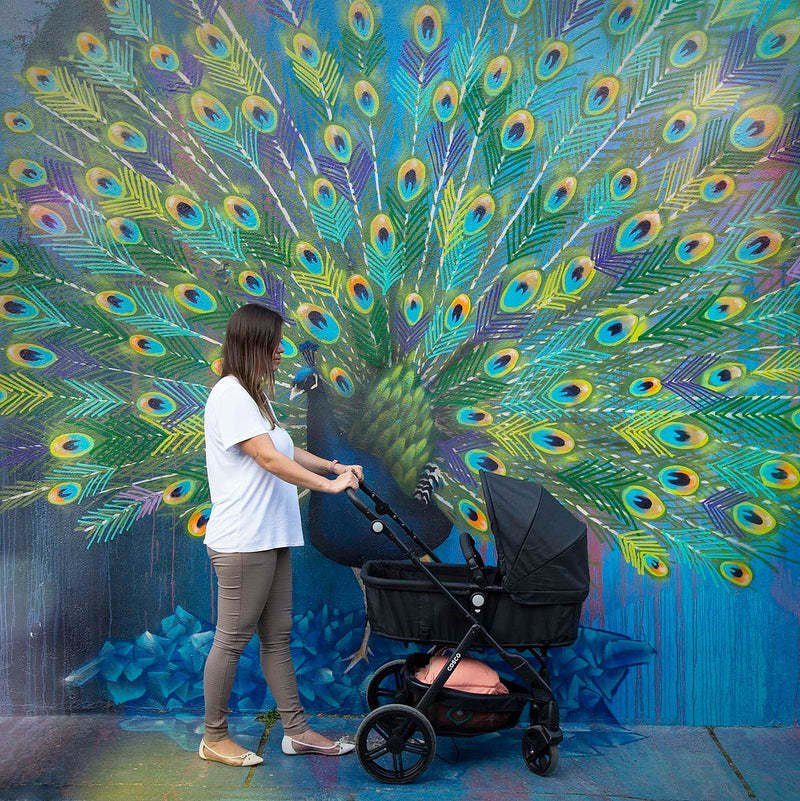 Travel System Poppy TRIO